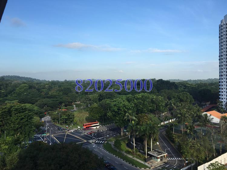 Blk 453 Sin Ming Avenue (Bishan), HDB 5 Rooms #152631552